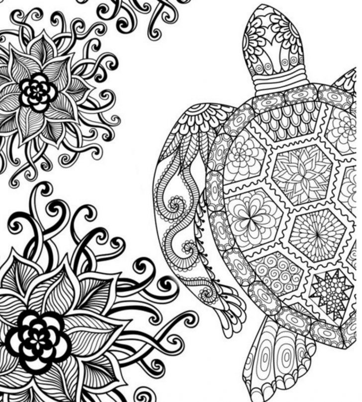 Adult Coloring Pages Coloring Page Free Adult Coloring Pages Today I Choose Joy Page Adult Coloring Pages Coloring Page Free Adult Coloring Pages Today I Choose Joy Page