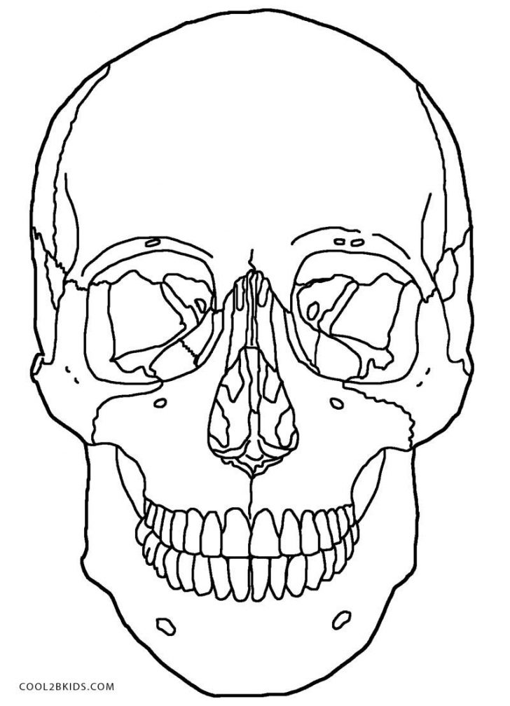 Anatomy Coloring Pages Anatomy Skull Coloring Pages Printable Sugar Skulls Within Page Anatomy Coloring Pages Anatomy Skull Coloring Pages Printable Sugar Skulls Within Page
