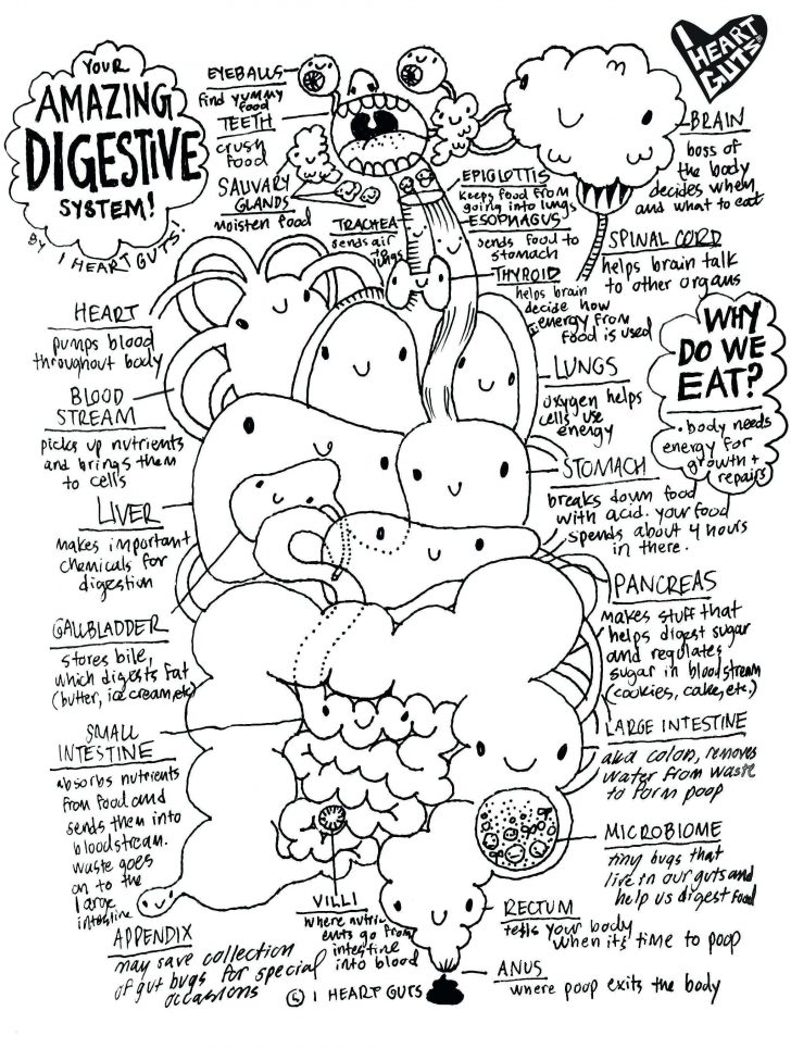 Anatomy Coloring Pages Coloring Pages Brain Anatomy Coloring Pages Staggering Walter Anatomy Coloring Pages Coloring Pages Brain Anatomy Coloring Pages Staggering Walter