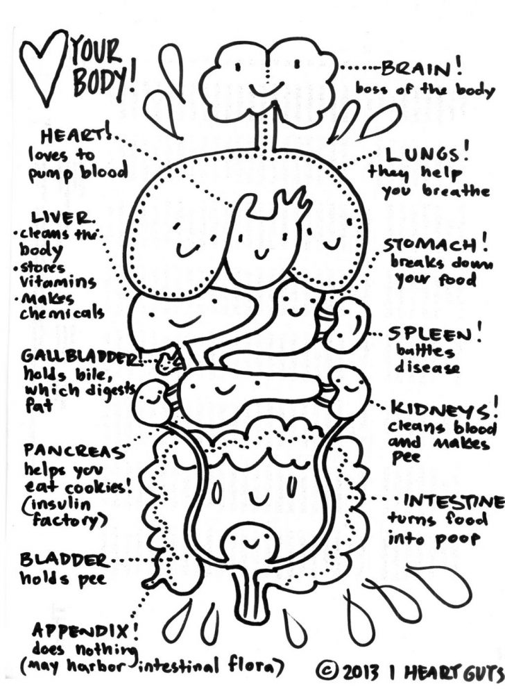 Anatomy Coloring Pages Coloring Pages Coloring Anatomy Pages Brain Sheets Skull Anatomy Coloring Pages Coloring Pages Coloring Anatomy Pages Brain Sheets Skull