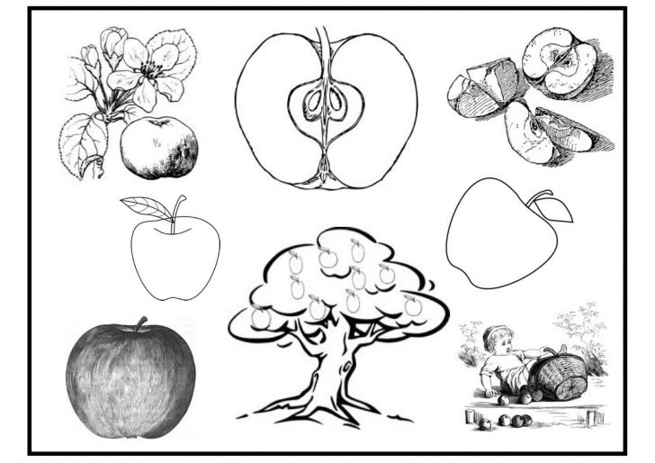 Apple Coloring Pages Apple Coloring Pages Apple Coloring Pages Apple Coloring Pages