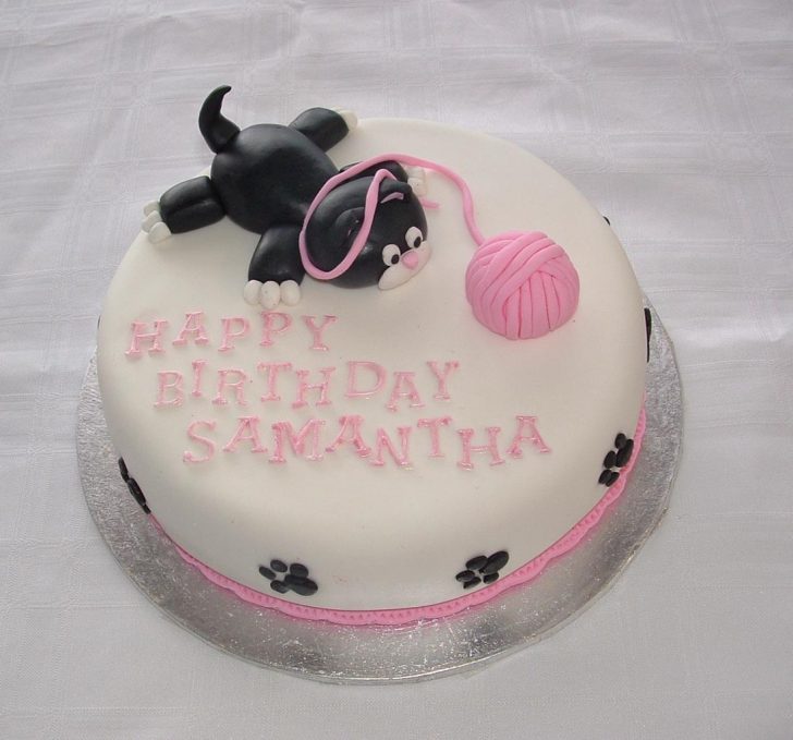 Cat Cakes For Birthdays Animal Cakes Rozzies Cakes Birthday Cakes Wedding Cakes Cat Cakes For Birthdays Animal Cakes Rozzies Cakes Birthday Cakes Wedding Cakes