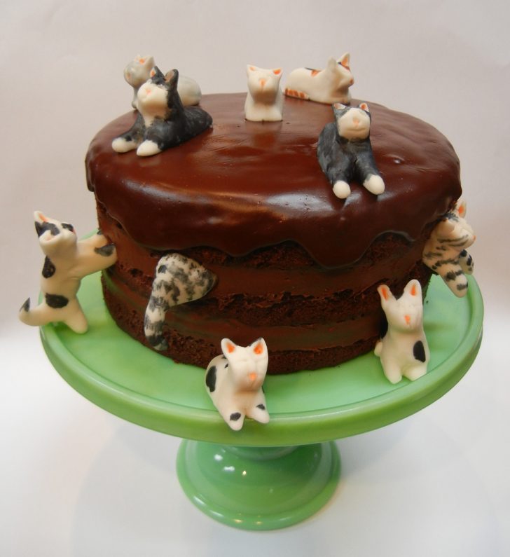 Cat Cakes For Birthdays Birthday Cakes C 085ilhouette Cake For Awesome Cats Melbourne Pets Cat Cakes For Birthdays Birthday Cakes C 085ilhouette Cake For Awesome Cats Melbourne Pets