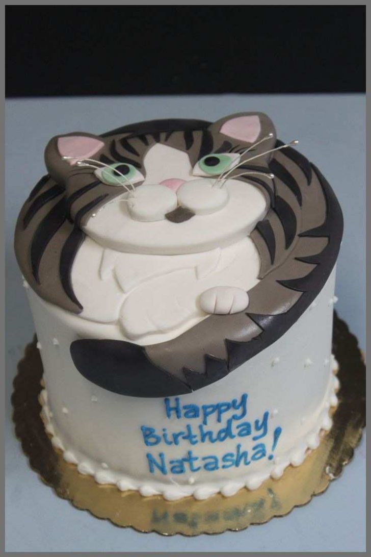 Cat Cakes For Birthdays Cat Birthday Cake Amazing Cat Cakes Decoration Ideas Best Cake Ideas Cat Cakes For Birthdays Cat Birthday Cake Amazing Cat Cakes Decoration Ideas Best Cake Ideas