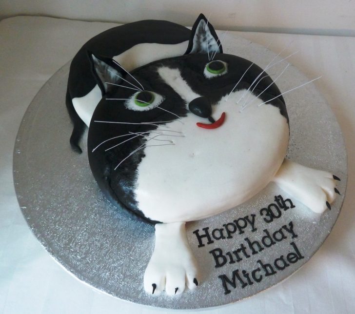 Cat Cakes For Birthdays Cat Birthday Cake Wedding Birthday Cakes From Maureens Kitchen Cat Cakes For Birthdays Cat Birthday Cake Wedding Birthday Cakes From Maureens Kitchen