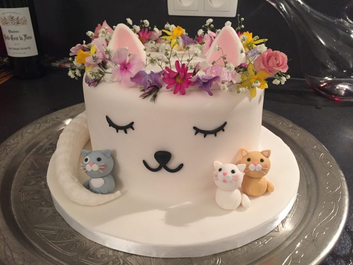 Cat Cakes For Birthdays Cat Cake Birthday For Lex In 2018 Pinterest Cake Cat Party Cat Cakes For Birthdays Cat Cake Birthday For Lex In 2018 Pinterest Cake Cat Party