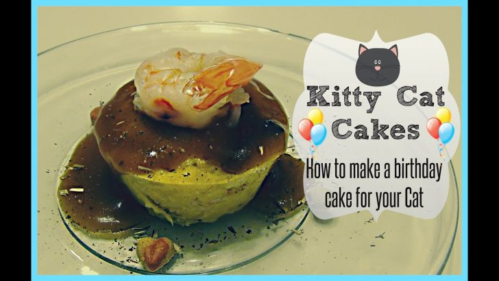 Cat Cakes For Birthdays Kitty Cat Cakes How To Make A Birthday Cake For Your Cat Youtube Cat Cakes For Birthdays Kitty Cat Cakes How To Make A Birthday Cake For Your Cat Youtube