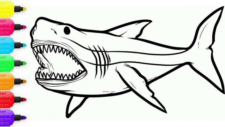 Coloring Pages Sharks Coloring Pages Sharks How To Draw Shark For Kids Colouring Sea Coloring Pages Sharks Coloring Pages Sharks How To Draw Shark For Kids Colouring Sea
