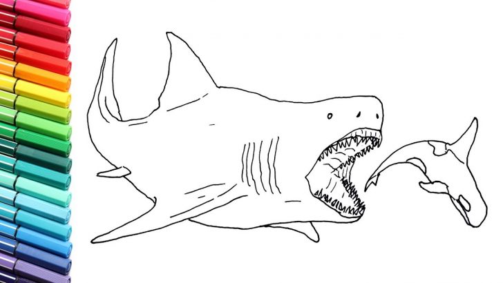 Coloring Pages Sharks Drawing And Coloring The Megalodon Megalodon Shark Color Pages For Coloring Pages Sharks Drawing And Coloring The Megalodon Megalodon Shark Color Pages For