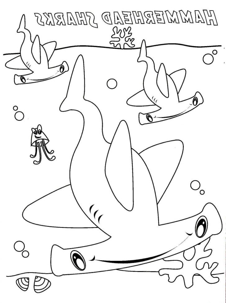Coloring Pages Sharks Hammerhead Shark Coloring Pages To Print Wuming Coloring Pages Sharks Hammerhead Shark Coloring Pages To Print Wuming