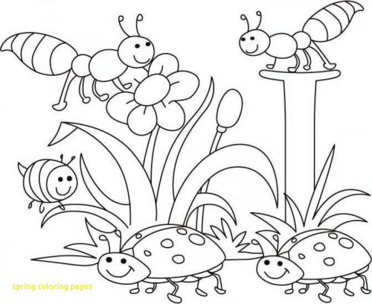 Coloring Pages Spring Coloring Pages Spring Coloring Book Coloring Pages Spring Coloring Pages Spring Coloring Book