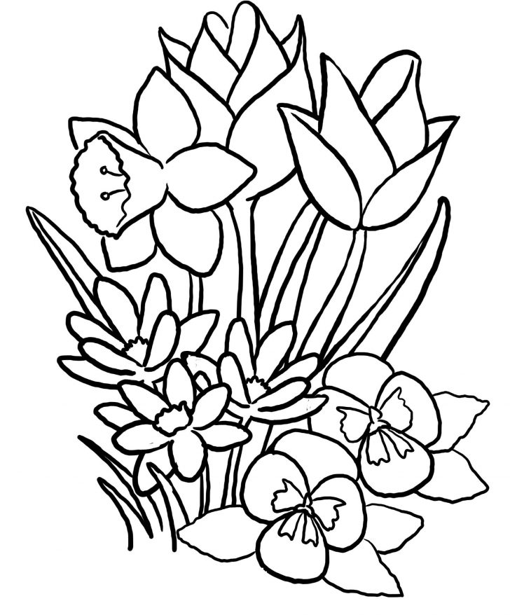 Coloring Pages Spring Easy Coloring Page Spring Pages Printable For Kids Coloring Pages Spring Easy Coloring Page Spring Pages Printable For Kids