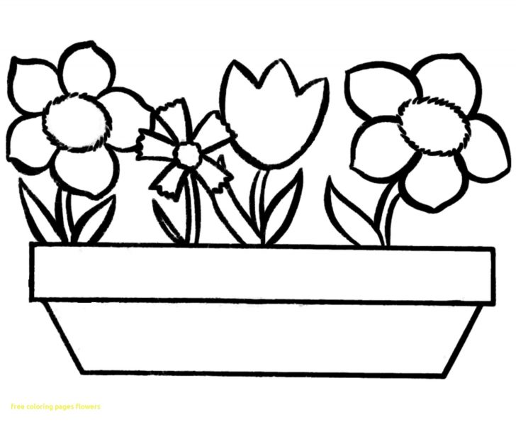 Coloring Pages Spring Northern Or Red Cardinal Coloring Page Spring Flower Pa Coloring Pages Spring Northern Or Red Cardinal Coloring Page Spring Flower Pa
