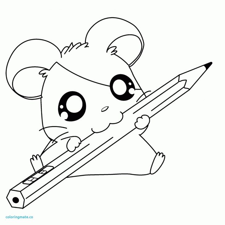 Cute Food Coloring Pages Cool Cute Food Coloring Pages Elegant Cute Kawaii Food Coloring Cute Food Coloring Pages Cool Cute Food Coloring Pages Elegant Cute Kawaii Food Coloring