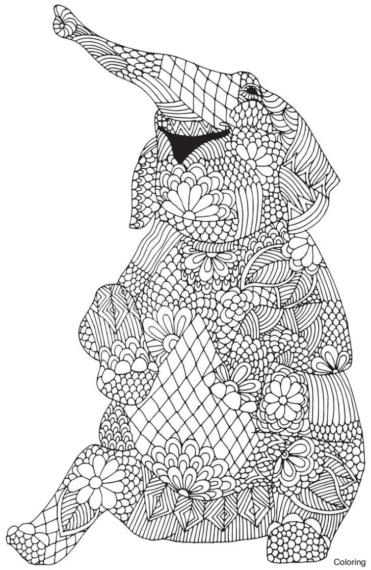 Elephant Adult Coloring Pages Best Of Coloring Adult Elephant Patterns Mandala Pages A Big Full Elephant Adult Coloring Pages Best Of Coloring Adult Elephant Patterns Mandala Pages A Big Full