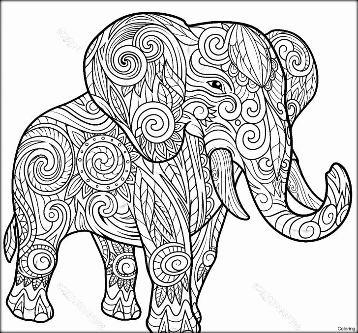 Elephant Adult Coloring Pages Coloring Page Fantastic Elephant Adult Coloring Pages Elephant Adult Coloring Pages Coloring Page Fantastic Elephant Adult Coloring Pages