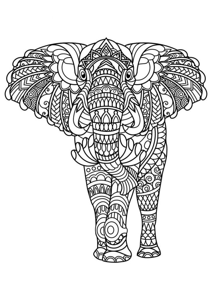 Elephant Adult Coloring Pages Coloring Page Fantastic Elephant Adult Coloringgesge Best Of Elephant Adult Coloring Pages Coloring Page Fantastic Elephant Adult Coloringgesge Best Of