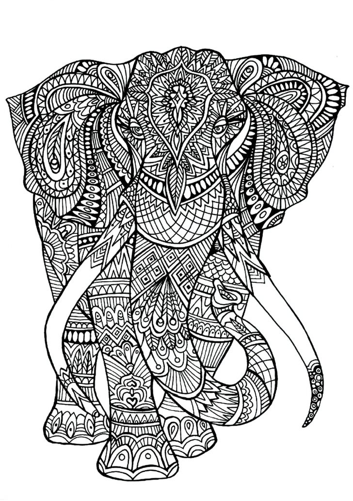 Elephant Adult Coloring Pages Elephant Adult Coloring Pages 3jlp Elephant Patterns Elephants Elephant Adult Coloring Pages Elephant Adult Coloring Pages 3jlp Elephant Patterns Elephants