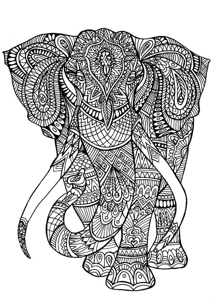 Elephant Adult Coloring Pages Elephant Patterns Elephants Adult Coloring Pages Elephant Adult Coloring Pages Elephant Patterns Elephants Adult Coloring Pages