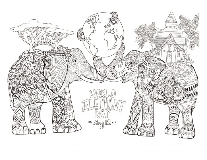 Elephant Adult Coloring Pages Elephants Coloring Pages For Adults Elephant Adult Coloring Pages Elephants Coloring Pages For Adults