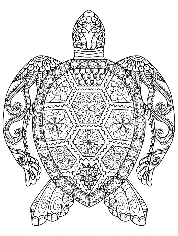 Elephant Adult Coloring Pages Inspirational Photos Of Elephant Coloring Pages For Adults Oil Elephant Adult Coloring Pages Inspirational Photos Of Elephant Coloring Pages For Adults Oil