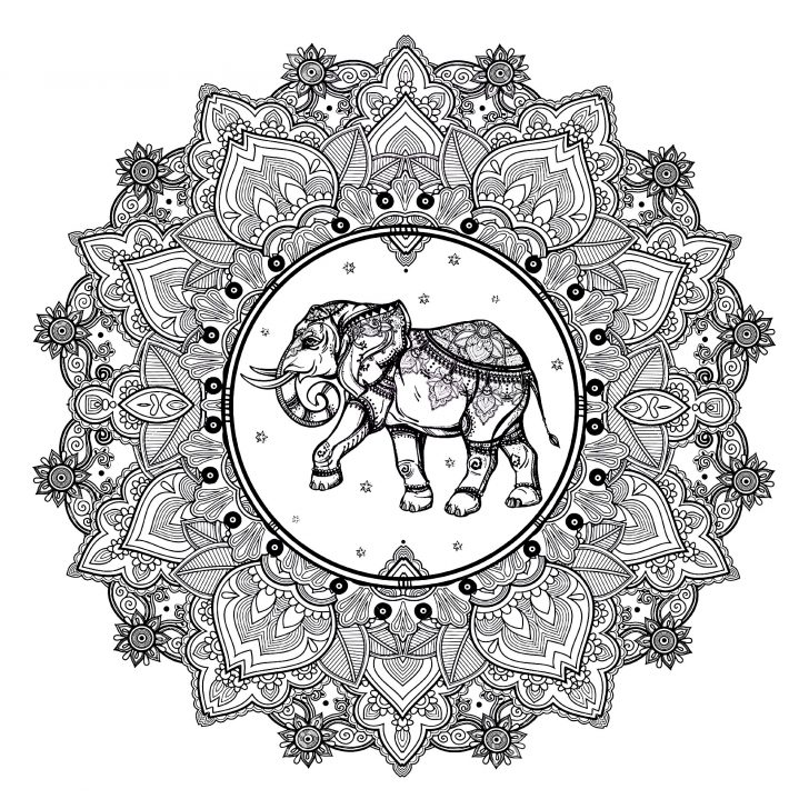Elephant Adult Coloring Pages Mandala Elephant Coloring Pages Mandala Elephant 123rf M Alas Elephant Adult Coloring Pages Mandala Elephant Coloring Pages Mandala Elephant 123rf M Alas