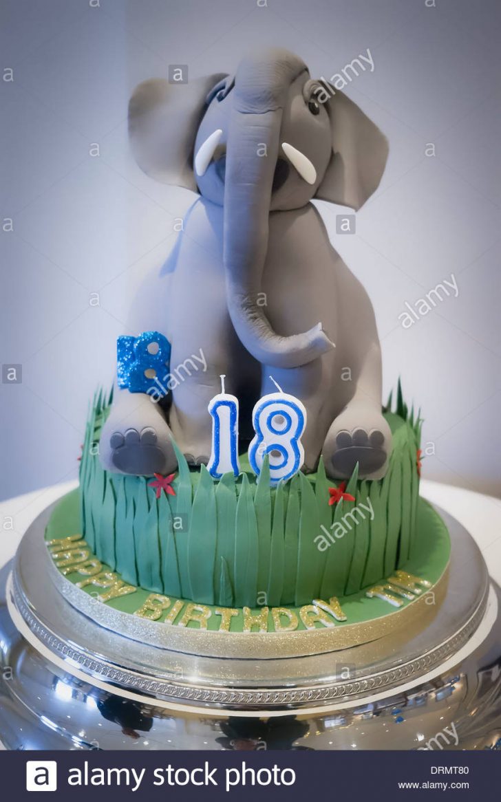 Elephant Birthday Cakes Celebratory18th Birthday Cake With Contributions To Asian Elephant Elephant Birthday Cakes Celebratory18th Birthday Cake With Contributions To Asian Elephant