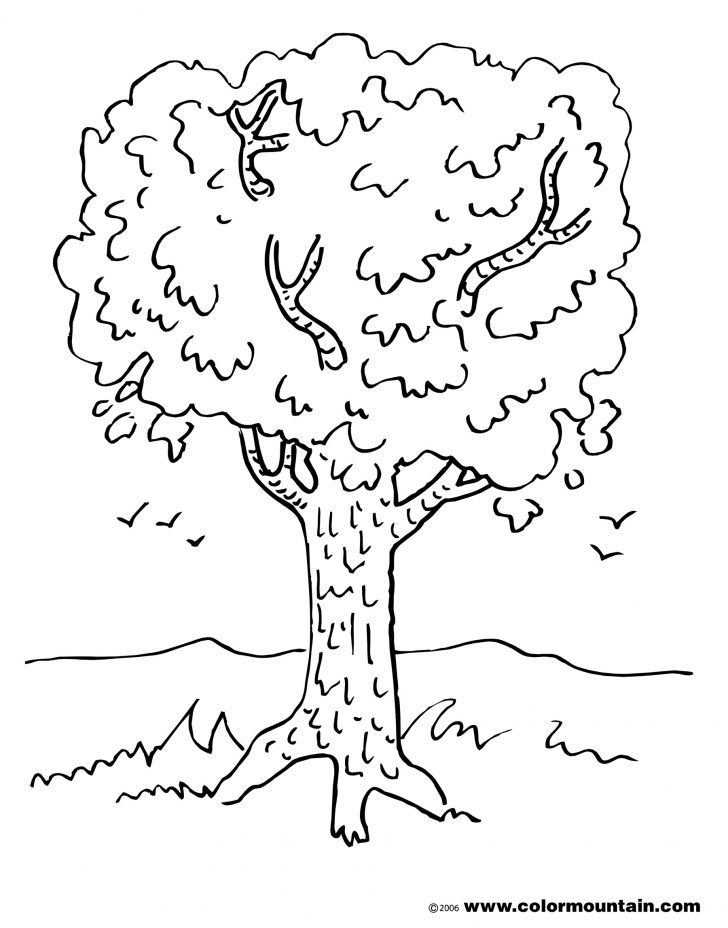 Fall Tree Coloring Pages Autumn Coloring Illustration Stock Vector Of For Fall Tree Page Fall Tree Coloring Pages Autumn Coloring Illustration Stock Vector Of For Fall Tree Page