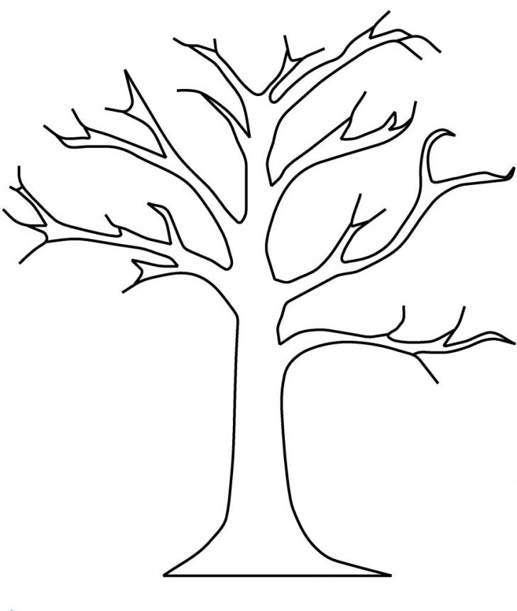 Fall Tree Coloring Pages Collection Free Autumn Tree Coloring Pages Pictures Sabadaphnecottage Fall Tree Coloring Pages Collection Free Autumn Tree Coloring Pages Pictures Sabadaphnecottage