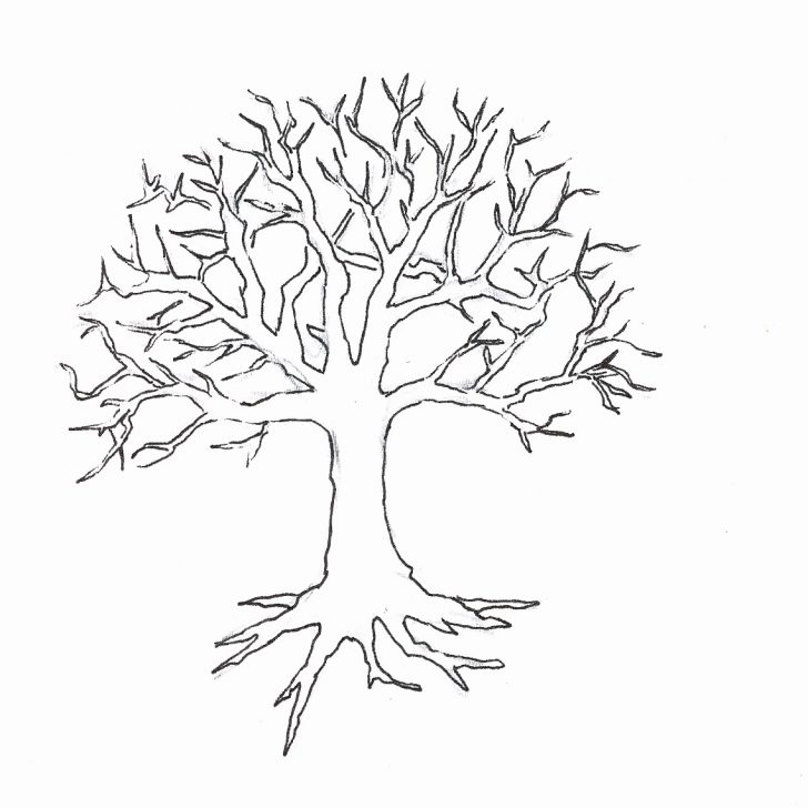 Fall Tree Coloring Pages Coloring Page Of A Tree Without Leaves Coloring Coloring Home Fall Tree Coloring Pages Coloring Page Of A Tree Without Leaves Coloring Coloring Home