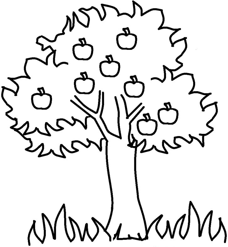 Fall Tree Coloring Pages Fall Coloring Pages Printables Dapmalaysia Fall Tree Coloring Pages Fall Coloring Pages Printables Dapmalaysia