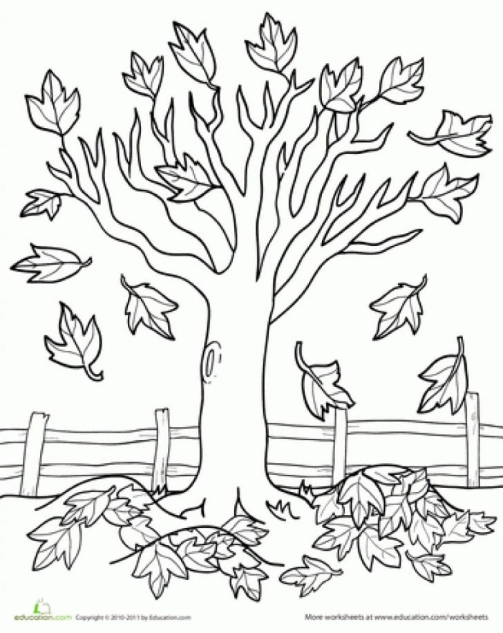 Fall Tree Coloring Pages Fall Coloring Pages Sheets In Tree Color Page Parkspfe Fall Tree Coloring Pages Fall Coloring Pages Sheets In Tree Color Page Parkspfe