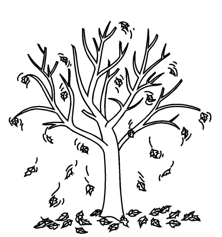 Fall Tree Coloring Pages Fall Tree Printable Free Coloring Pages On Art Coloring Pages Fall Tree Coloring Pages Fall Tree Printable Free Coloring Pages On Art Coloring Pages