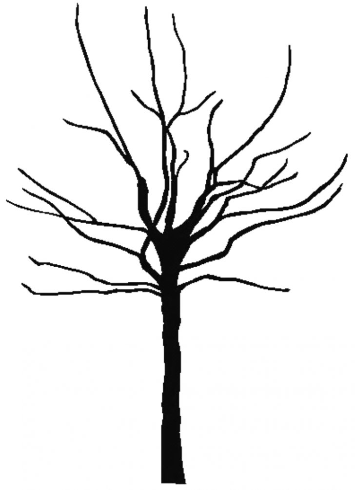Fall Tree Coloring Pages Free Printable Pictures Of Trees Download Free Clip Art Free Clip Fall Tree Coloring Pages Free Printable Pictures Of Trees Download Free Clip Art Free Clip