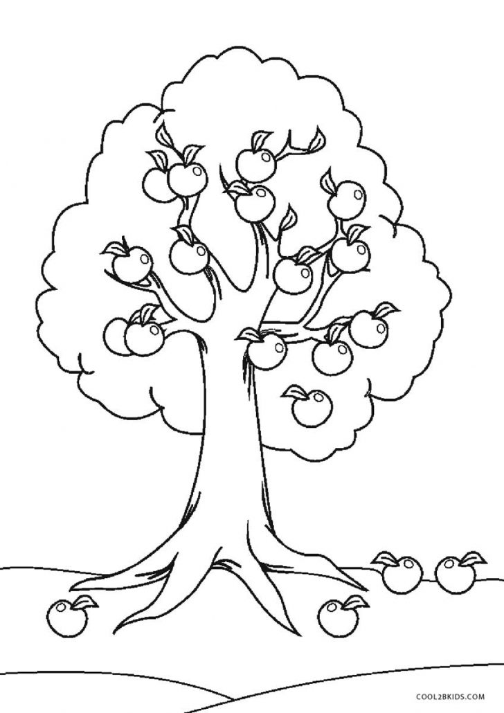 Fall Tree Coloring Pages Free Printable Tree Coloring Pages For Kids Cool2bkids Fall Tree Coloring Pages Free Printable Tree Coloring Pages For Kids Cool2bkids