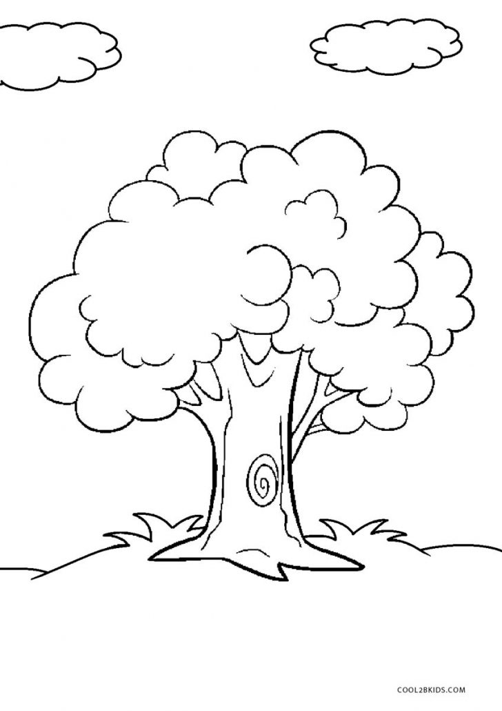 Fall Tree Coloring Pages Free Printable Tree Coloring Pages For Kids Cool2bkids Fall Tree Coloring Pages Free Printable Tree Coloring Pages For Kids Cool2bkids
