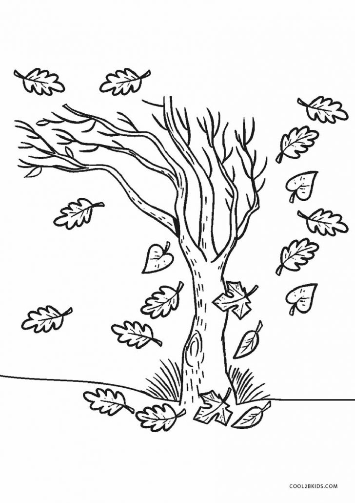 Fall Tree Coloring Pages Free Printable Tree Coloring Pages For Kids Cool2bkids Fall Tree Coloring Pages Free Printable Tree Coloring Pages For Kids Cool2bkids