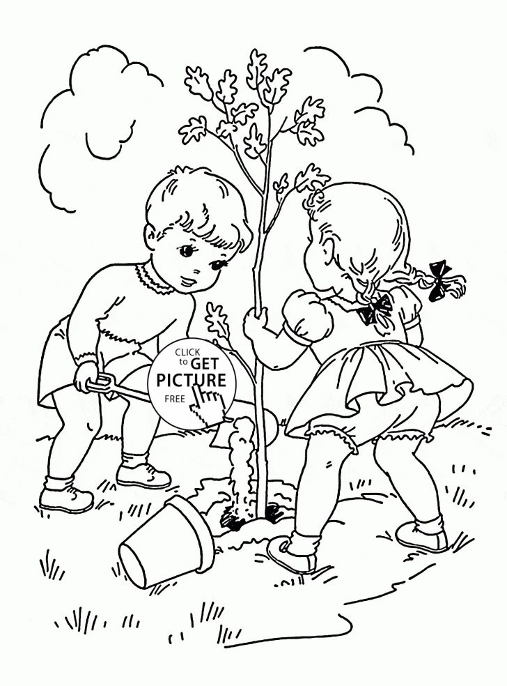 Fall Tree Coloring Pages Plants And Trees Coloring Pages Awesome Fall Tree Coloring Page Fall Tree Coloring Pages Plants And Trees Coloring Pages Awesome Fall Tree Coloring Page