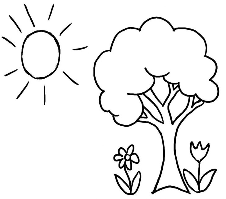 Fall Tree Coloring Pages Spring Tree Coloring Page At Getdrawings Free For Personal Use Fall Tree Coloring Pages Spring Tree Coloring Page At Getdrawings Free For Personal Use