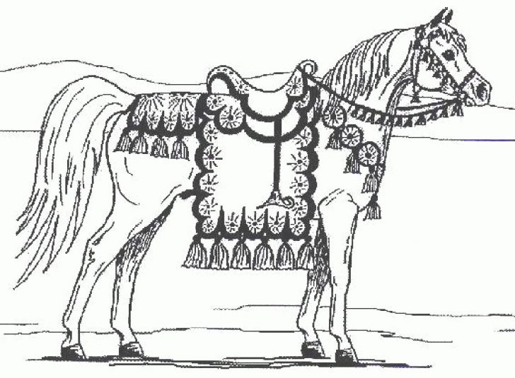 Free Horse Coloring Pages Amazing Of Beautiful Free Coloring Pages Of Horses For Ho 2192 Free Horse Coloring Pages Amazing Of Beautiful Free Coloring Pages Of Horses For Ho 2192