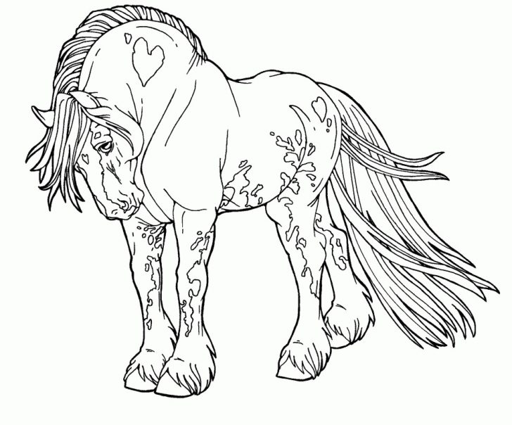 Free Horse Coloring Pages Best Free Horse Coloring Page Colin Bookman Free Horse Coloring Pages Best Free Horse Coloring Page Colin Bookman