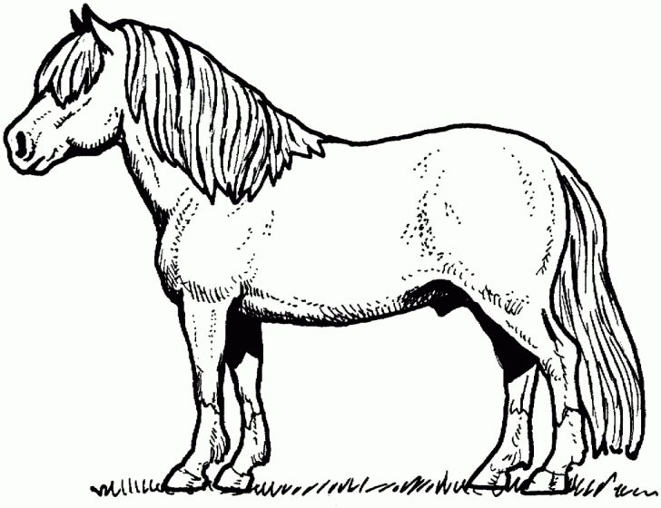 Free Horse Coloring Pages Coloring Page Free Horse Coloring Pages Printable Page Incredible Free Horse Coloring Pages Coloring Page Free Horse Coloring Pages Printable Page Incredible