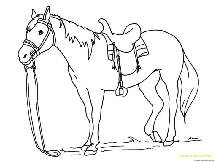 Free Horse Coloring Pages Coloring Pages Free Horseing Pictures Pages Page Mped Horses Save Free Horse Coloring Pages Coloring Pages Free Horseing Pictures Pages Page Mped Horses Save