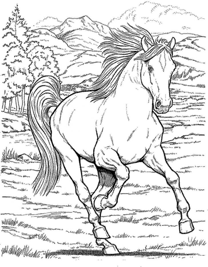 Free Horse Coloring Pages Coloring Pages Printable Coloring Pages For Kids Horse Fence Free Horse Coloring Pages Coloring Pages Printable Coloring Pages For Kids Horse Fence