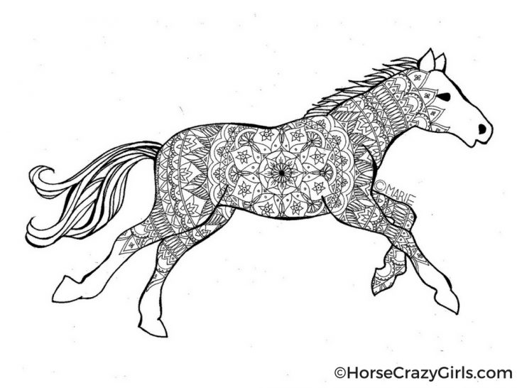 Free Horse Coloring Pages Horse Coloring Pages And Printables Free Horse Coloring Pages Horse Coloring Pages And Printables