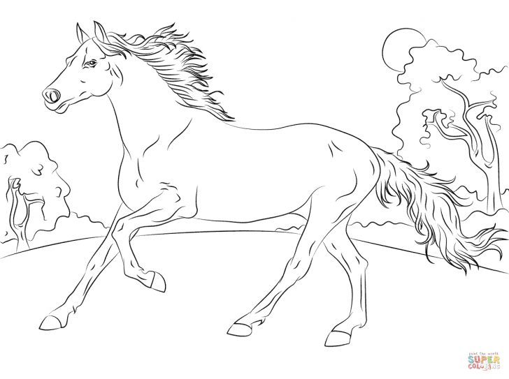 Free Horse Coloring Pages Horses Coloring Pages Free Coloring Pages Free Horse Coloring Pages Horses Coloring Pages Free Coloring Pages
