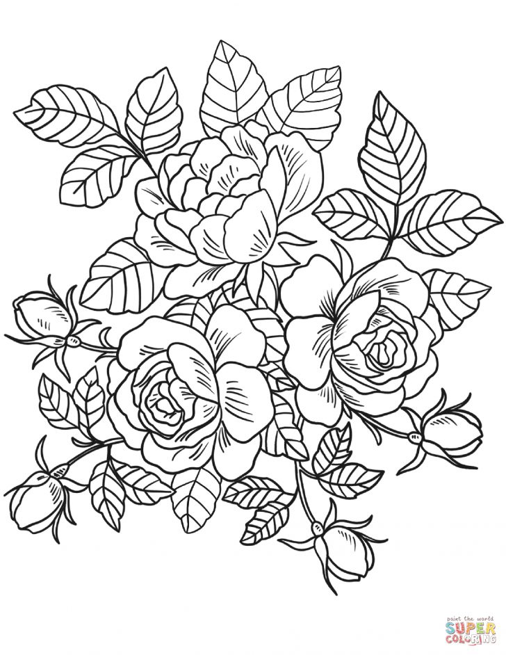 Free Printable Flower Coloring Pages Color Online Free Coloring Pages Free Flower Coloring Pages Coloring Free Printable Flower Coloring Pages Color Online Free Coloring Pages Free Flower Coloring Pages Coloring