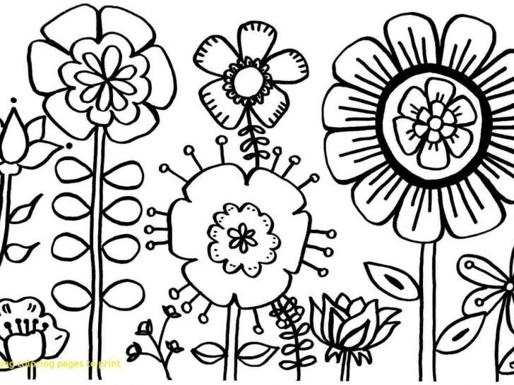 Free Printable Flower Coloring Pages Coloring Flower Sheets Simple Pages Free Potslor Printables Mandala Free Printable Flower Coloring Pages Coloring Flower Sheets Simple Pages Free Potslor Printables Mandala