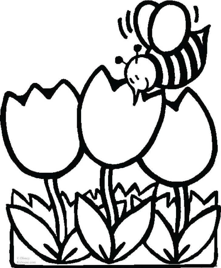 Free Printable Flower Coloring Pages Flower Coloring Pages Free Download Best Flower Coloring Pages On Free Printable Flower Coloring Pages Flower Coloring Pages Free Download Best Flower Coloring Pages On