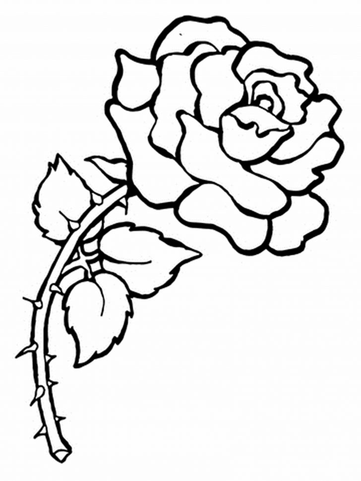 Free Printable Flower Coloring Pages Free Printable Flower Coloring Pages For Kids Best Coloring Pages Free Printable Flower Coloring Pages Free Printable Flower Coloring Pages For Kids Best Coloring Pages